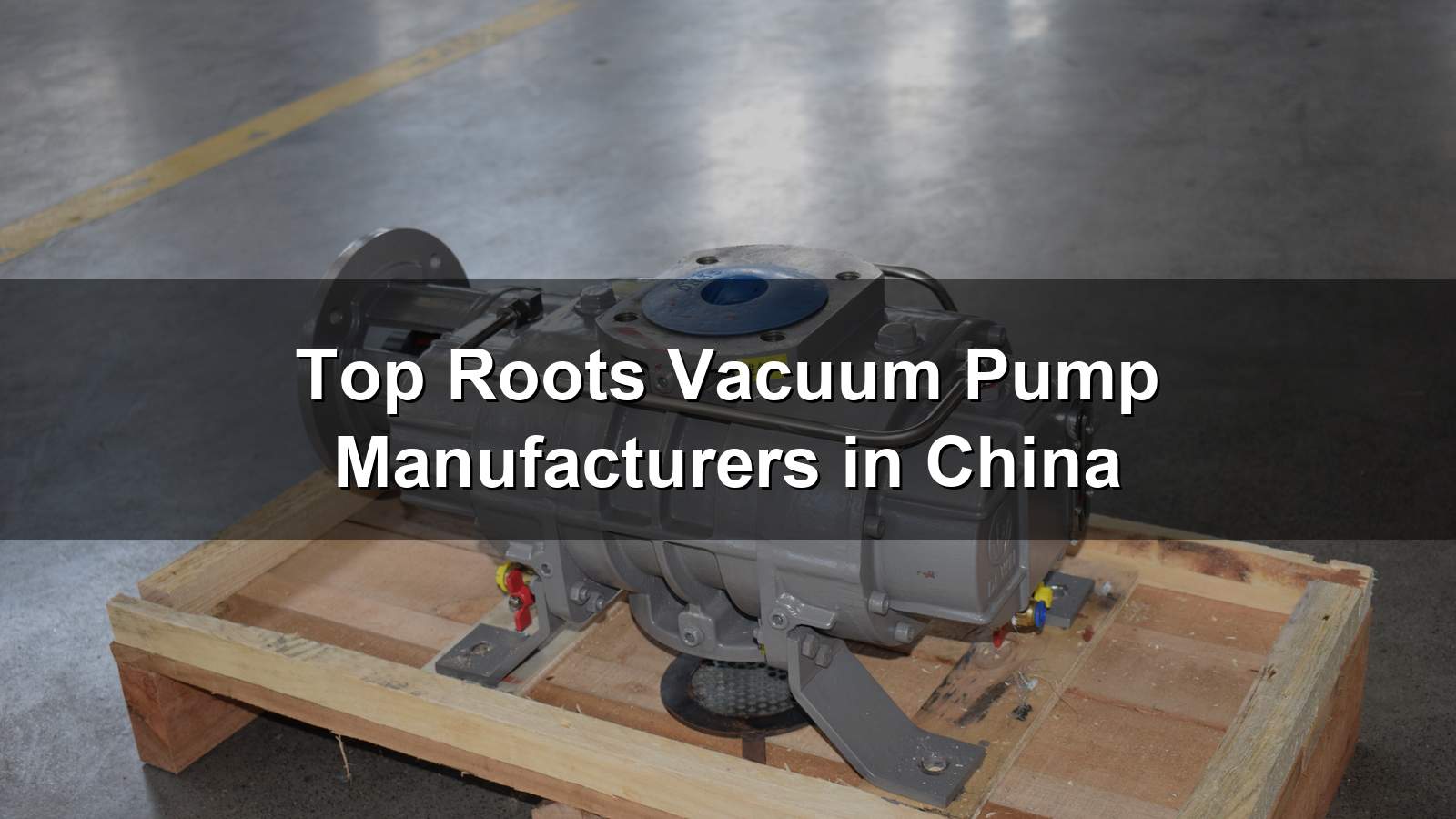 Top Roots Vacuum Pump Manufacturers in China